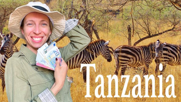 &iquest;Cu&aacute;nto cuesta viajar a Dar es Salaam? Gu&iacute;a de precios y presupuesto