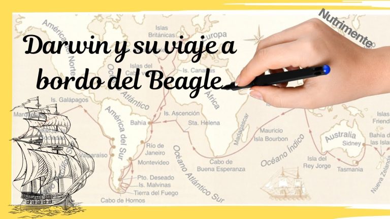 Cuánto cuesta viaja a Darwin