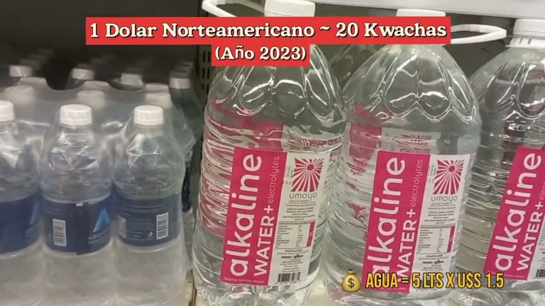 &iquest;Cu&aacute;nto cuesta viajar a Lusaka? Descubre el presupuesto ideal para tu aventura africana