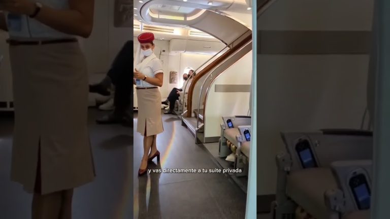 Descubre cu&aacute;nto cuesta viajar a Palmerston North: gu&iacute;a completa de gastos