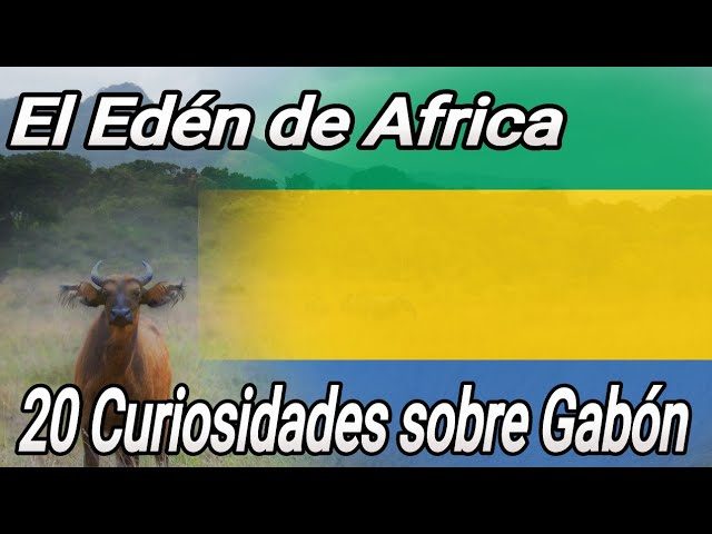 ¿Cuánto cuesta viajar a Gabón? Guía completa de precios y presupuestos